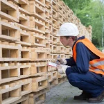 Pallet Business Plan That Builds Strong Growth and Stability